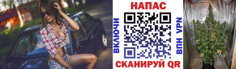 Купить закладки  Нефтекумск  Марихуана план 
